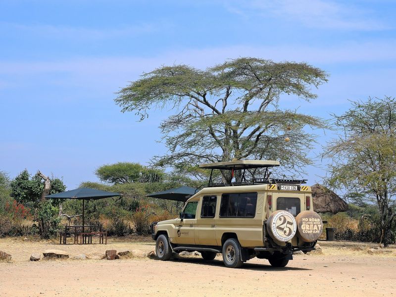 A safari vehicle with a pop-up roof parked beneath an acacia tree
