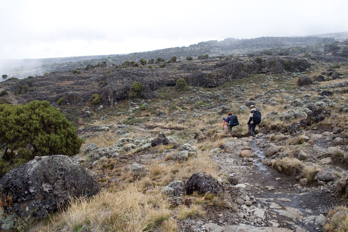 Trekkers crossing the rocky Shira Plateau on Kilimanjaro
