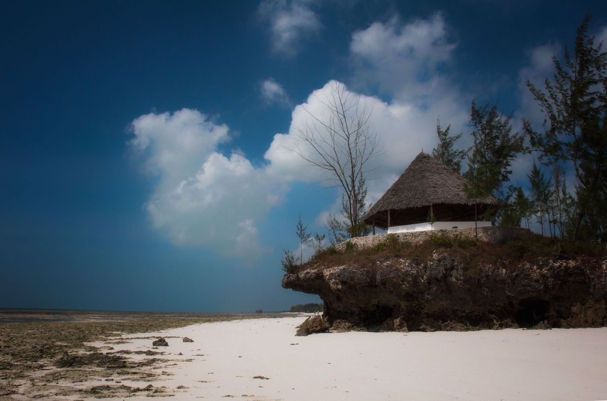 A beach on Zanzibar